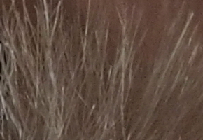 Olympus PEN E-PL5: s výkonnějším srdcem