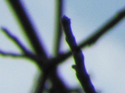 Canon PowerShot SX120 IS: zraje jako víno