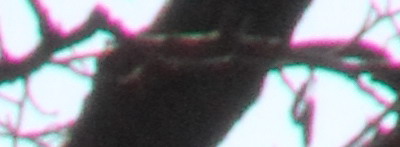 Megatest ultrazoomových objektivů