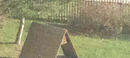 Nokia Lumia 1020 vs. 808 PureView