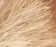 Fujifilm FinePix F300EXR: klame tělem