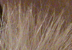 Canon PowerShot G15: lépe už to (asi) nepůjde