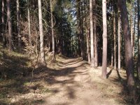 Olympus Camedia C-470 Zoom: Americký D-590