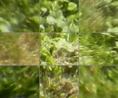 Nikon Coolpix S9100: rudý bojovník