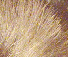 Samsung EX1: příjemné překvapení