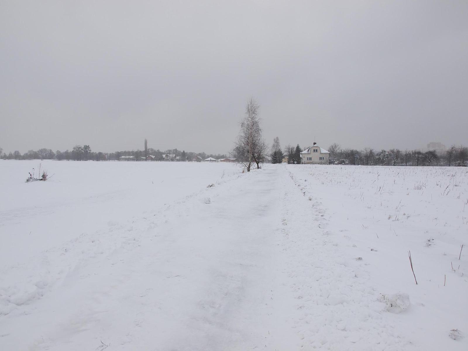 Olympus E-5: profík do nepohody