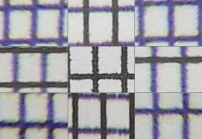 Nikon Coolpix B700: přírodovědec