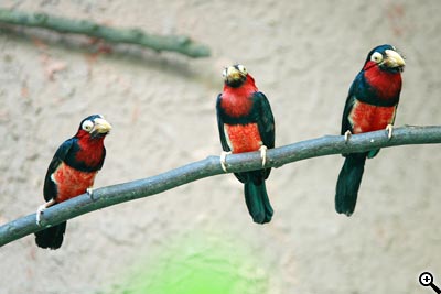 Cesta ke kvalitní fotografii: 2.díl