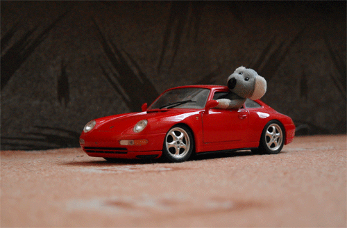 Fotíme s Koalou: Panning