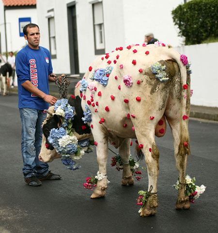 Azorské ostrovy – svátek fotografie: II.