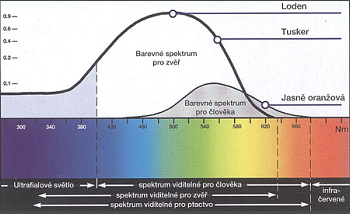 Přehled zajímavostí za 4. týden 2007