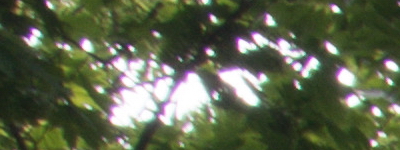 Tamron 16-300mm f/3.5-6.3 Di II VC PZD Macro