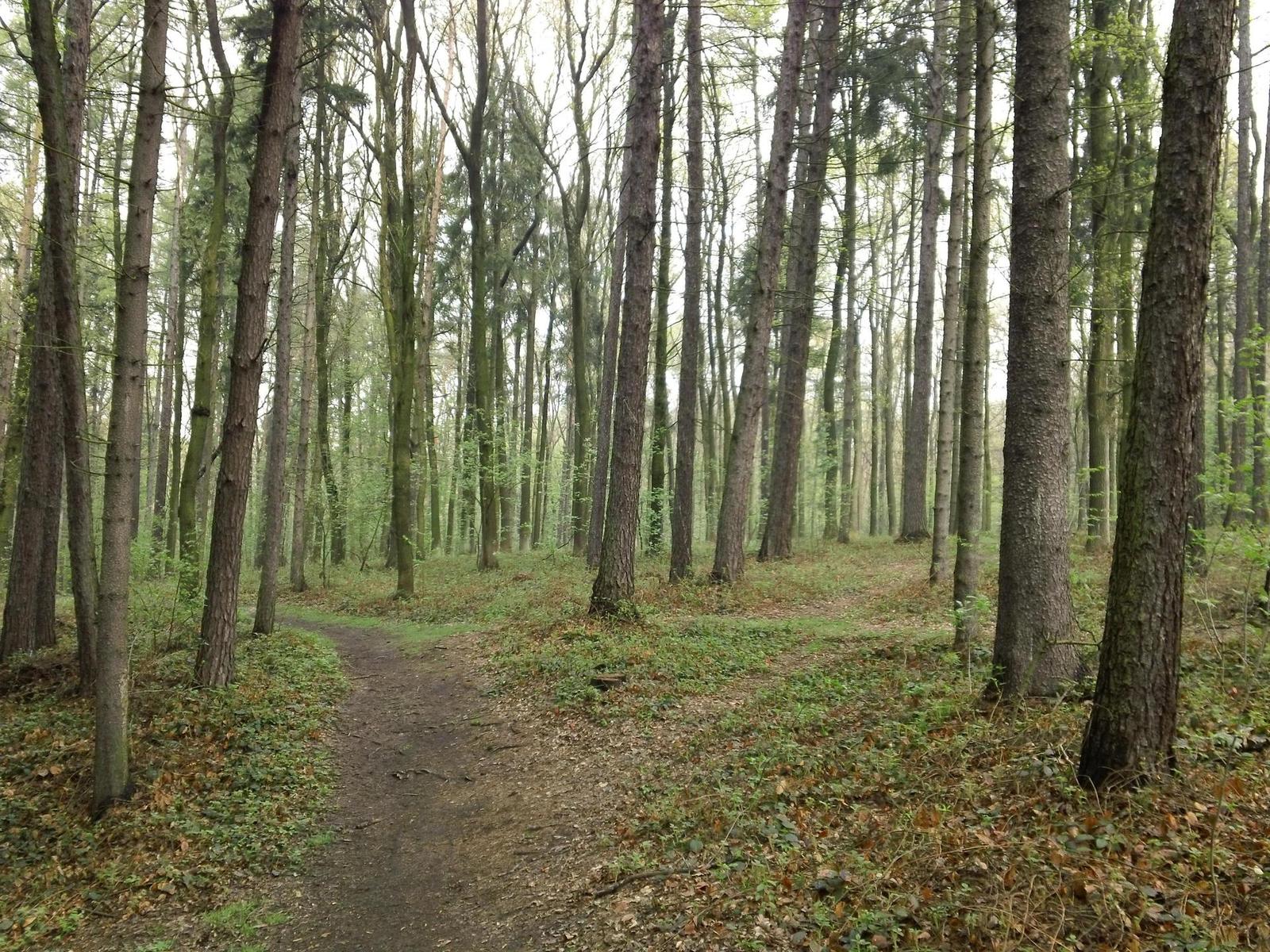 Sony Bloggie Touch: videokamera fotoaparátem?