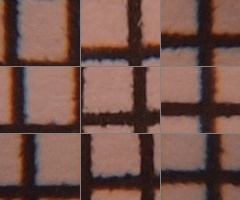 Olympus M.Zuiko Digital 14-150 mm F4-5,6