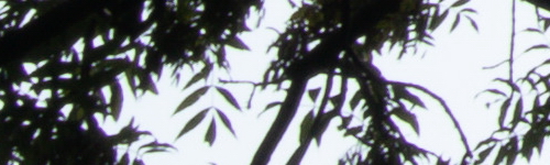 Canon EF-M 15-45mm f/3.5-6.3 IS STM