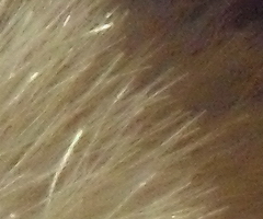 Samsung ST550: jedno LCD nestačí