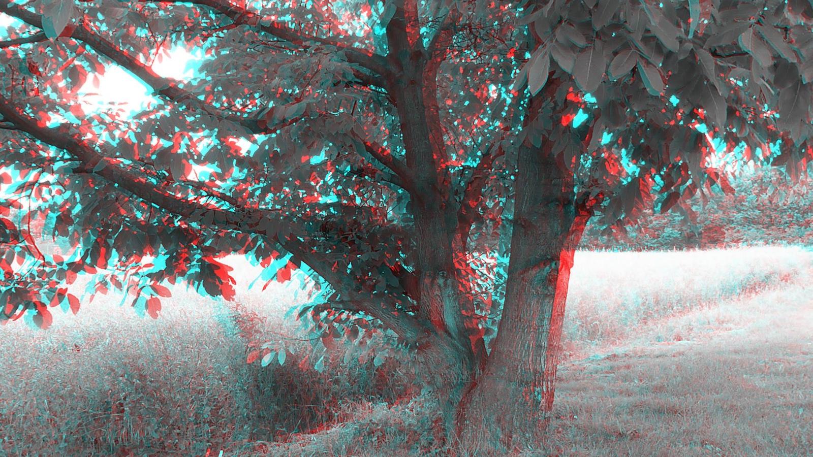 Panasonic Lumix TZ35 a TZ40: o čtyři více