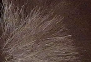 Olympus Stylus XZ-2: jednoduše skvělý