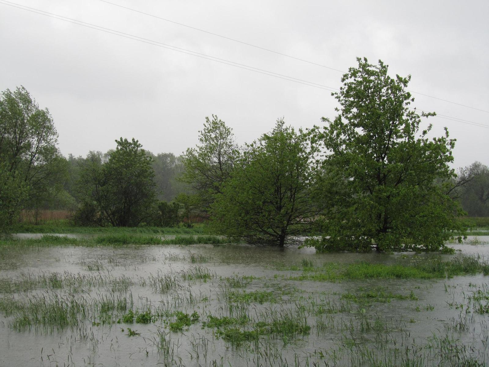 Canon PowerShot SX210 IS: s překvapivou zbraní