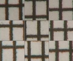 Canon PowerShot SX130 IS: levný všeuměl