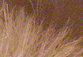 Panasonic Lumix FZ200: ultrazoomové překvapení roku