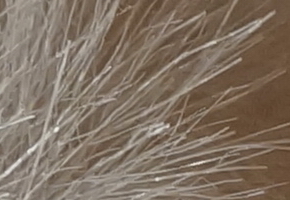 Sony NEX-5R: fázový posun k lepšímu?