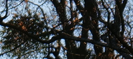 Panasonic Lumix S 20-60mm F3.5-5.6