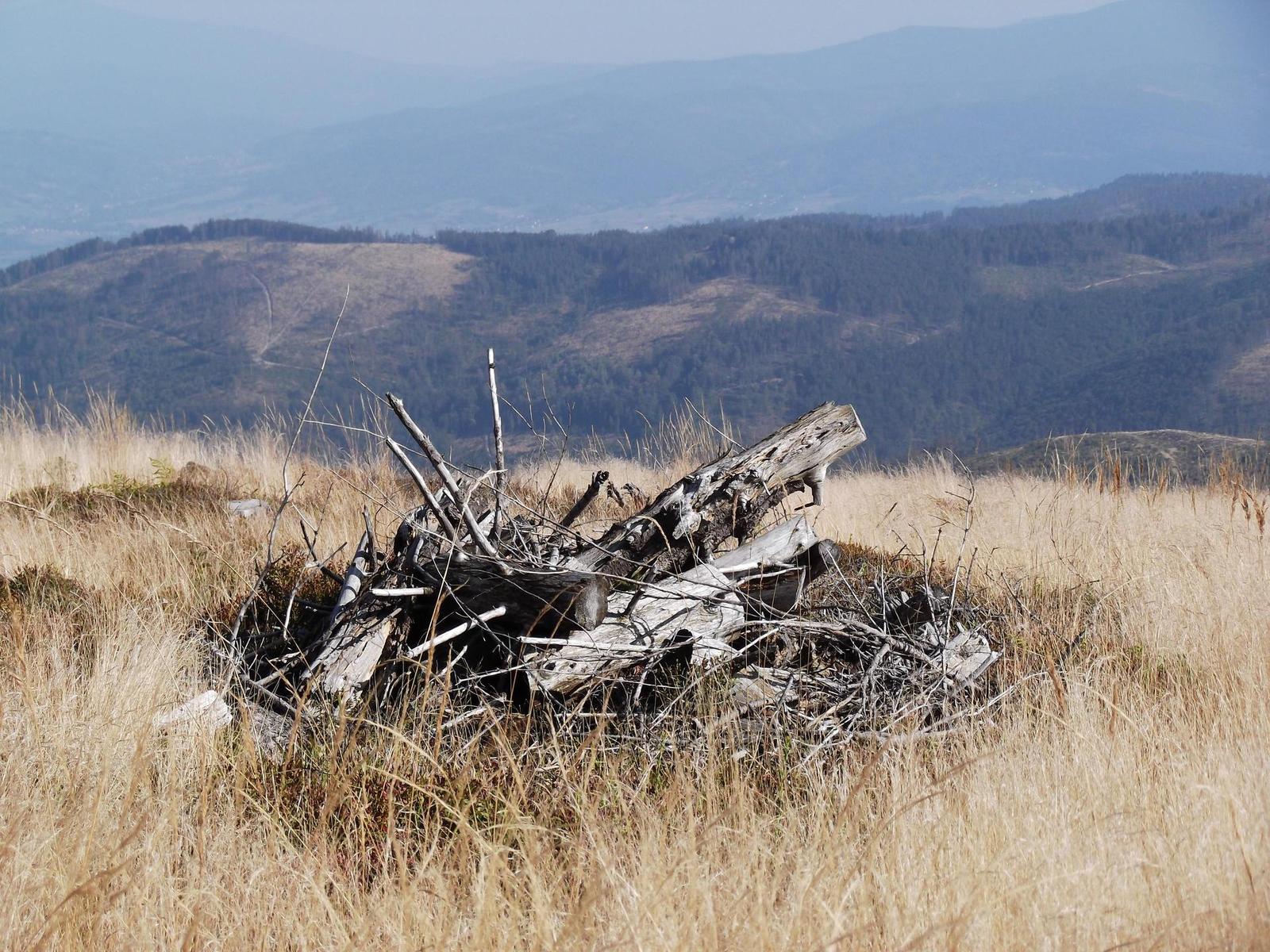 Fujifilm FinePix T200: nejlevnější ultrazoom Fuji