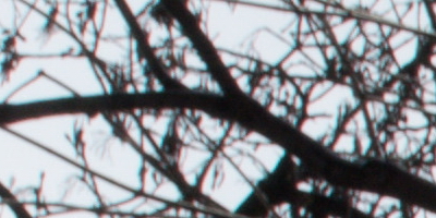 Nikon AF-S NIKKOR DX 55-300mm 1:4.5-5.6G ED VR