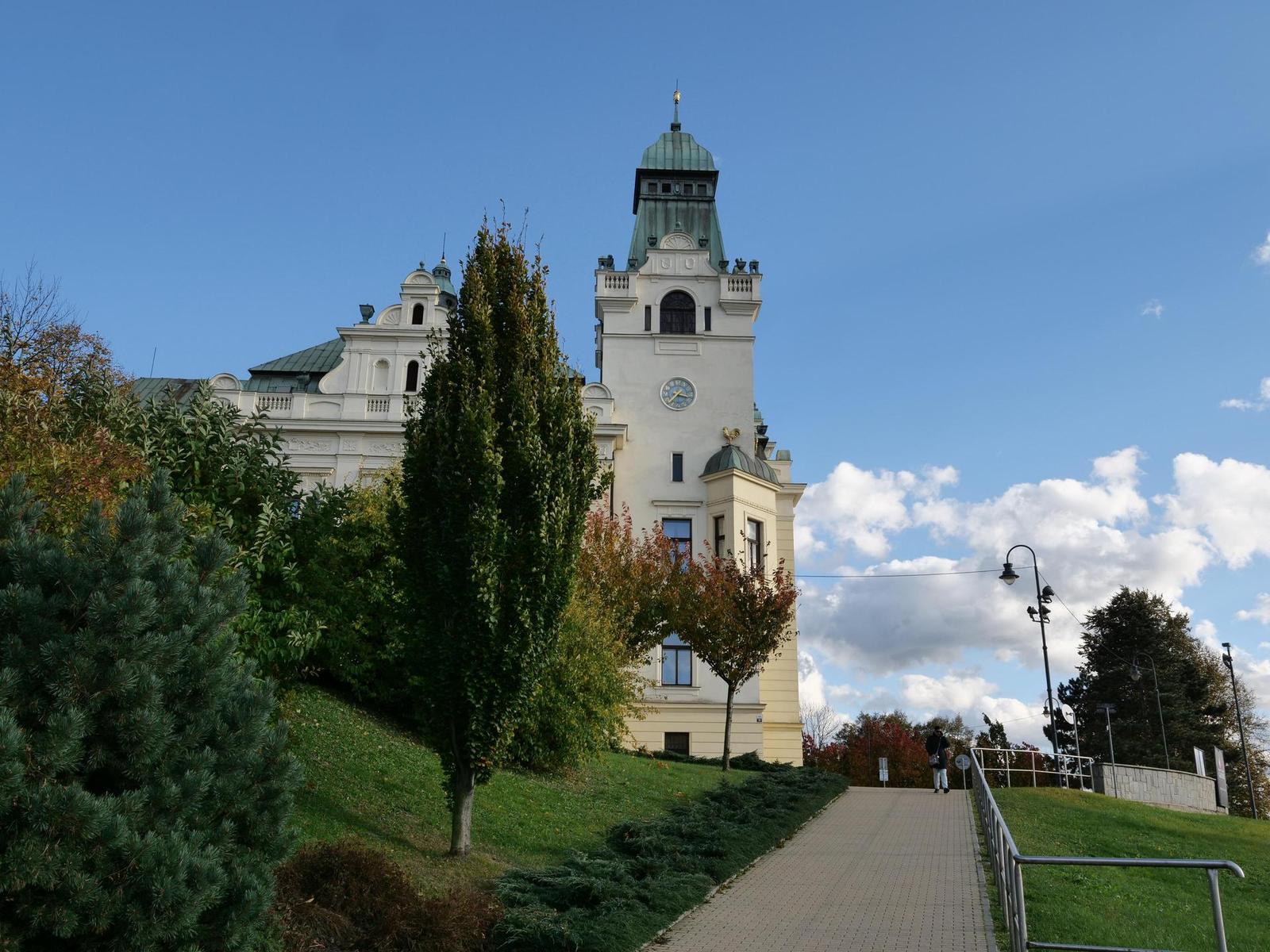 Panasonic Leica DG Vario-Summilux 10-25mm F1.7 ASPH.