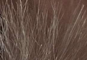 Olympus PEN E-PL5: s výkonnějším srdcem