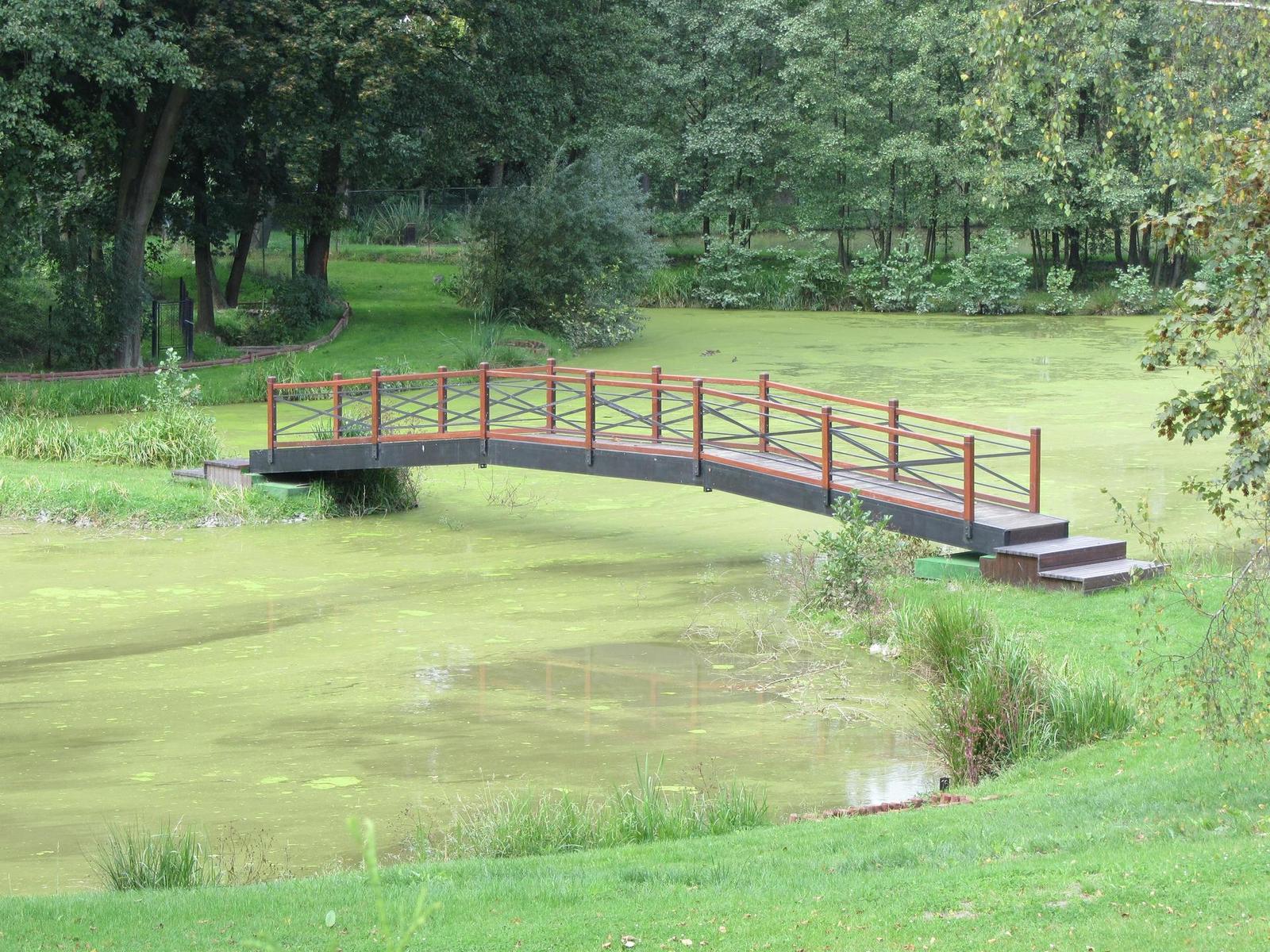 Canon PowerShot SX220/SX230 HS: (pří)jemná evoluce