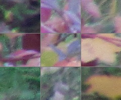 Canon PowerShot SX30 IS: sebevědomý rekordman