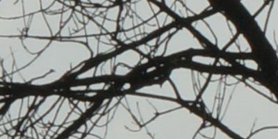 Sony SAL-70400G (70-400mm F4-5,6 SSM G)