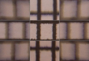 Tamron 16-300mm f/3.5-6.3 Di II VC PZD Macro