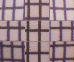 Panasonic Lumix FZ200: ultrazoomové překvapení roku