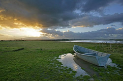 Tip Digimanie pro 32. týden roku 2005 - Tony Howell