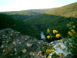 Genius G-Shot P510: Hezký dárek za vysvědčení