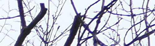 Panasonic Lumix LX15: noční borec