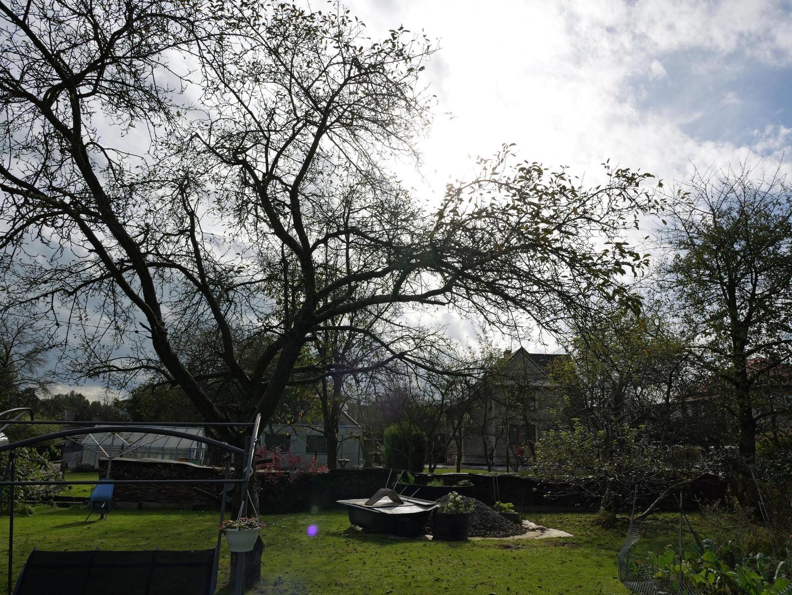 Panasonic Leica DG Vario-Elmarit 12-35mm / F2.8 ASPH. / Power O.I.S