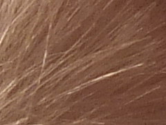 Fujifilm FinePix HS20EXR: důstojný nástupce