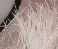 Sony A7R II (ILCE-7RM2): detaily na druhou