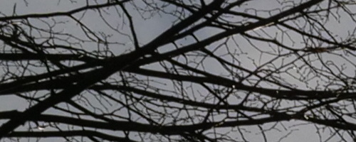 Panasonic Leica DG Vario-Summilux 10-25mm F1.7 ASPH.