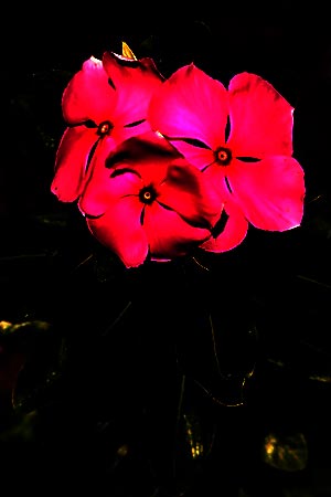 Úpravy fotografií v PC, 3.díl - kontrast