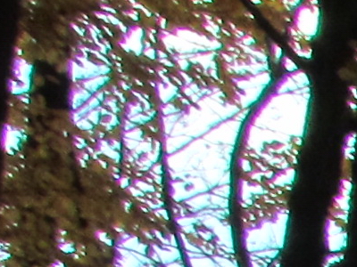 Canon PowerShot SX30 IS: sebevědomý rekordman