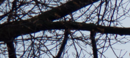 Sony DT 18-55mm 3.5-5.6 SAM II (SAL-1855-2)