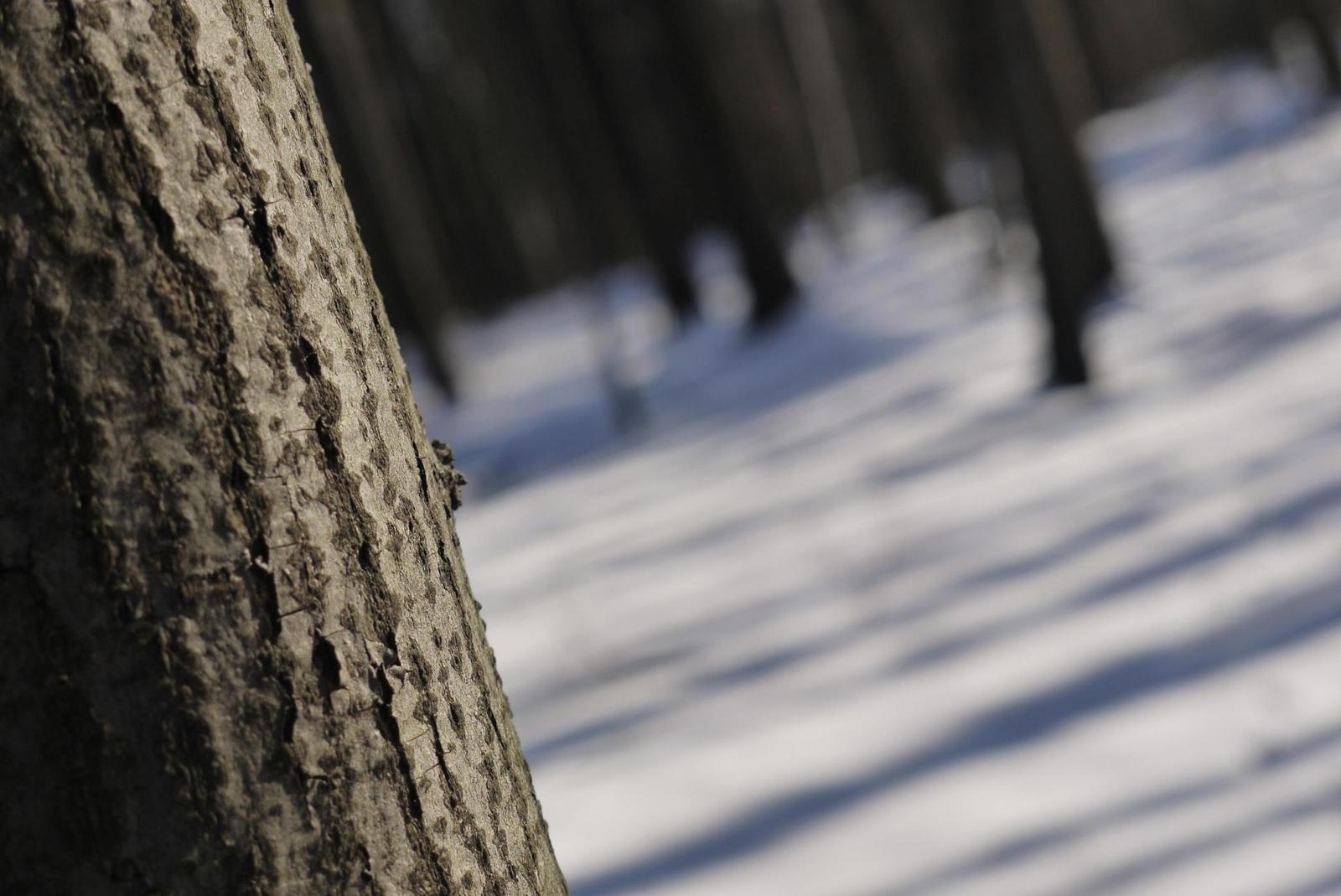 Panasonic Lumix G1: jde to i bez zrcadla!