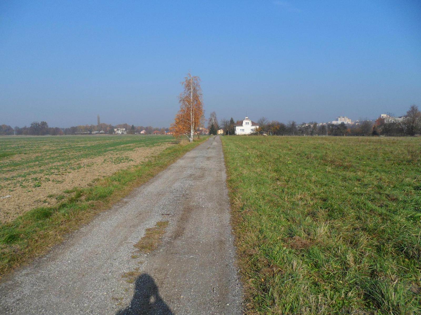 Samsung MV800: pro každý úhel i autoportréty