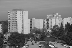 Canon EOS 550D: třídní premiant