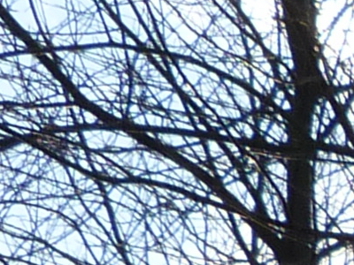 Panasonic Lumix FZ45 a FZ100: na vrcholu